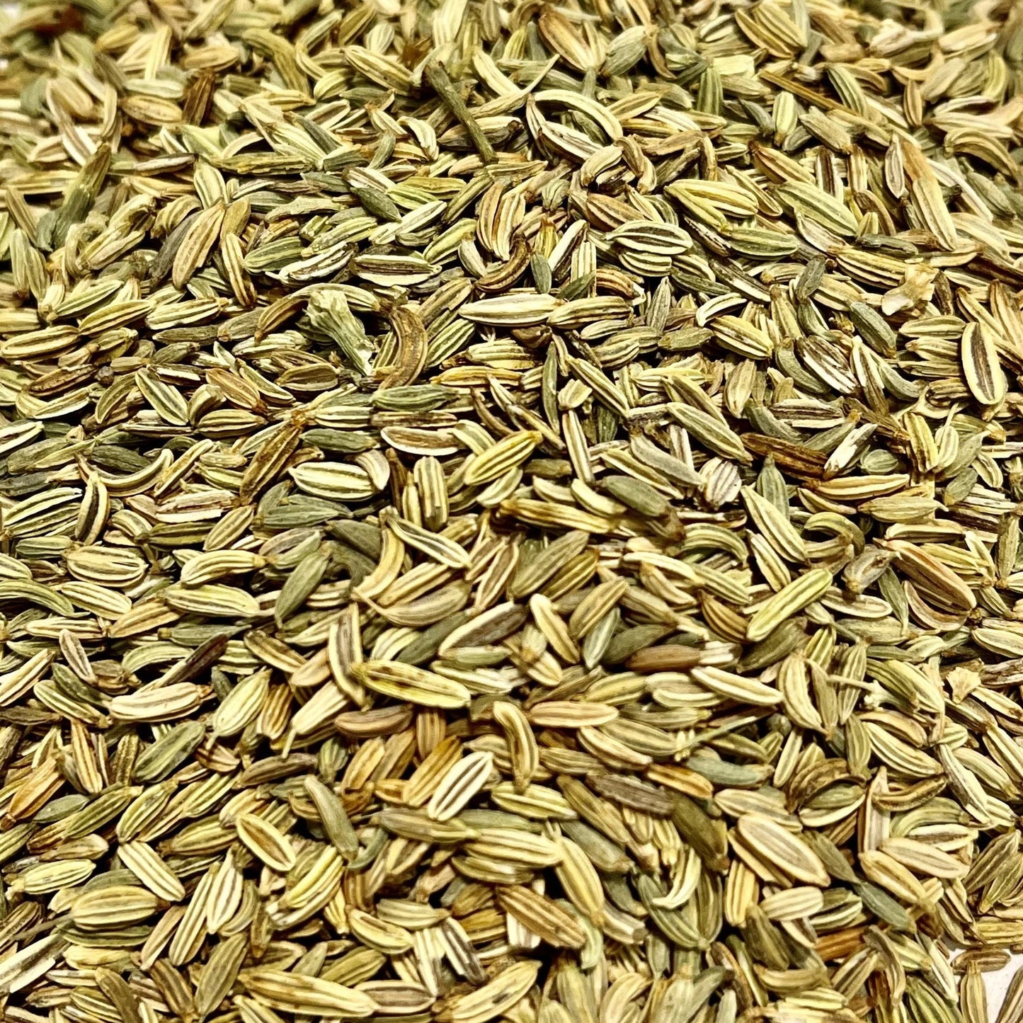 fennel