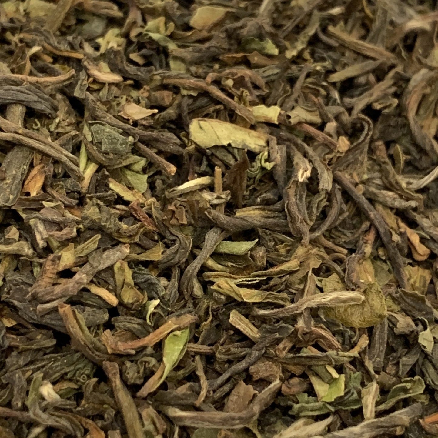 Té Darjeeling promocional 1 kg