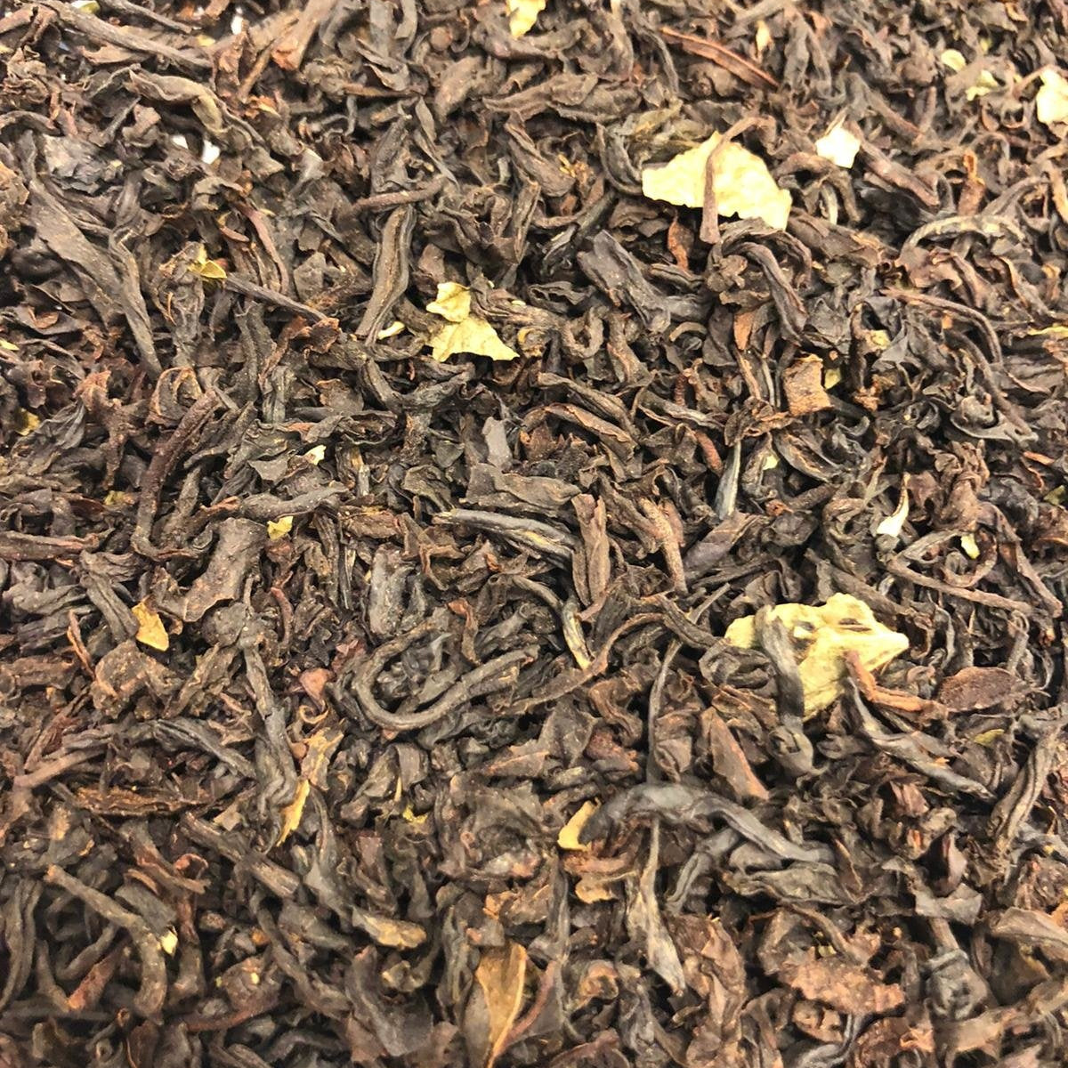 East Frisian chat time